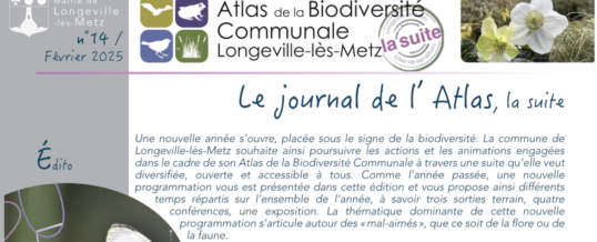 Journal de l’Atlas – février 2025